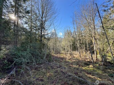 0 E Angeles Ridge Road , Port Angeles, WA 98362 - Photo 19