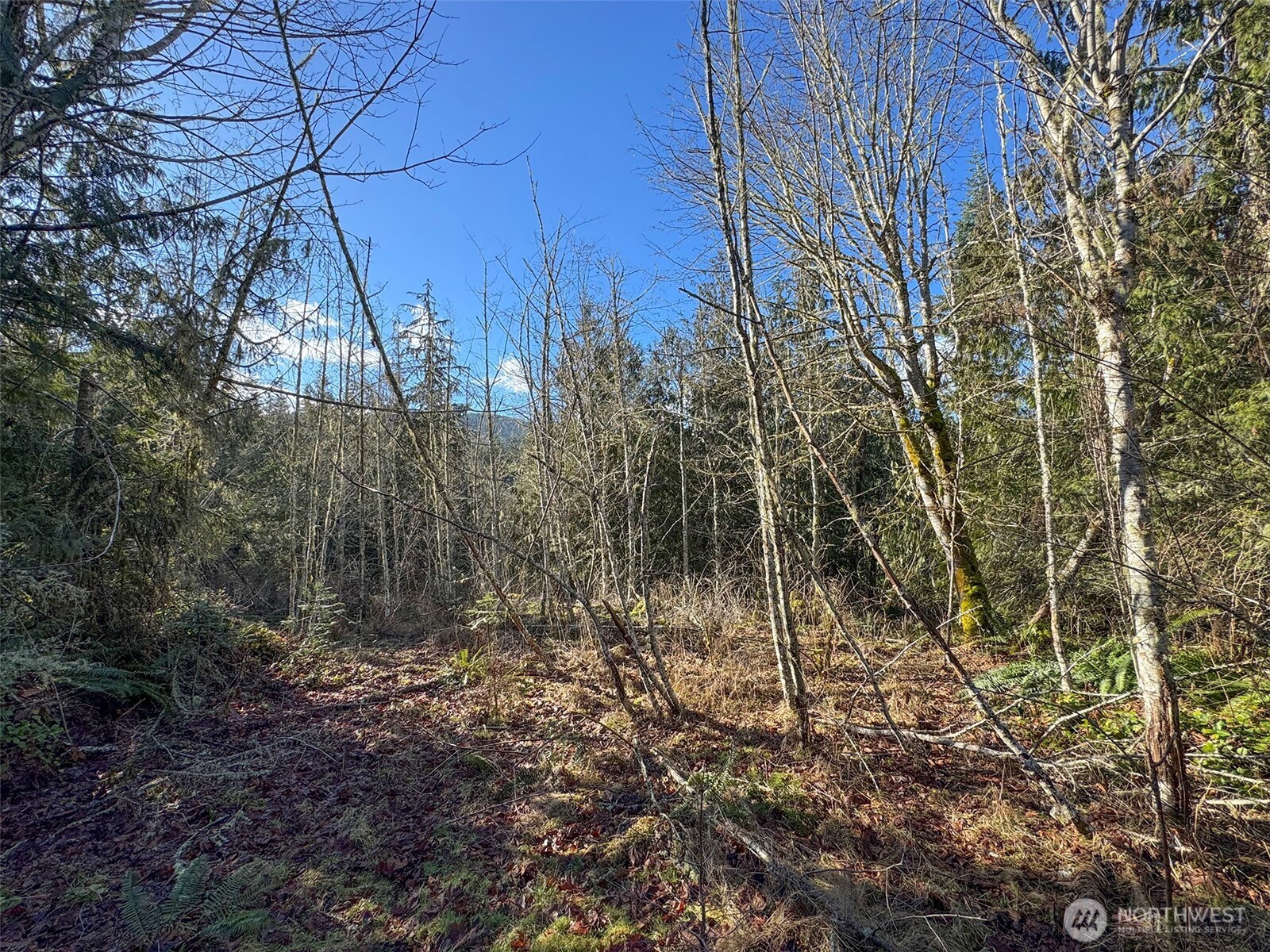 0 E Angeles Ridge Road , Port Angeles, WA 98362