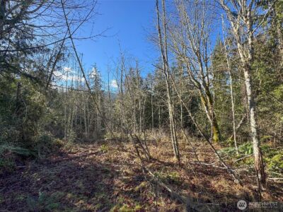 0 E Angeles Ridge Road , Port Angeles, WA 98362 - Photo 20