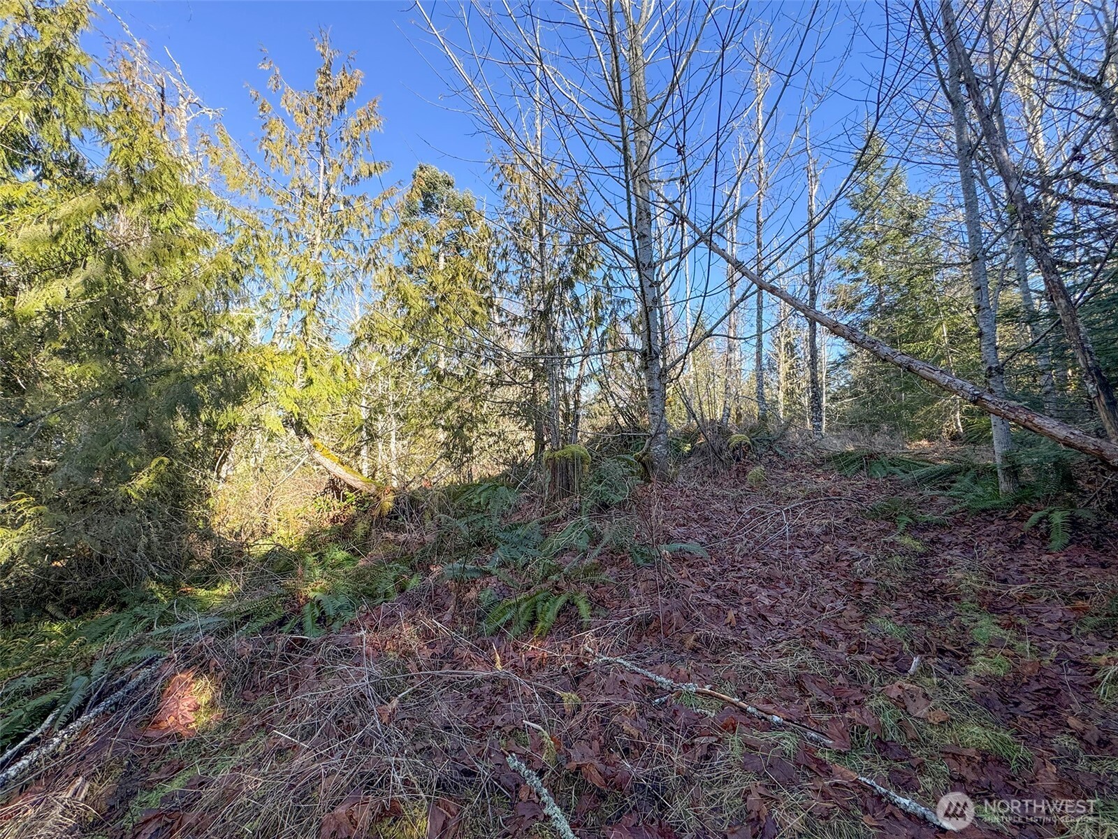 0 E Angeles Ridge Road , Port Angeles, WA 98362