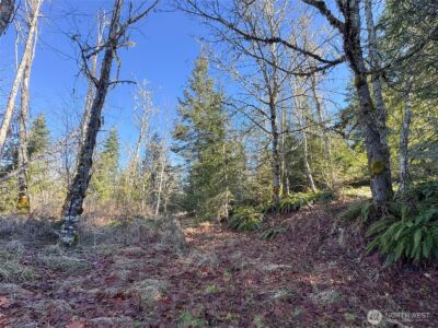 0 E Angeles Ridge Road , Port Angeles, WA 98362 - Photo 22
