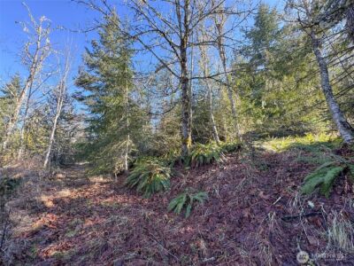 0 E Angeles Ridge Road , Port Angeles, WA 98362 - Photo 23