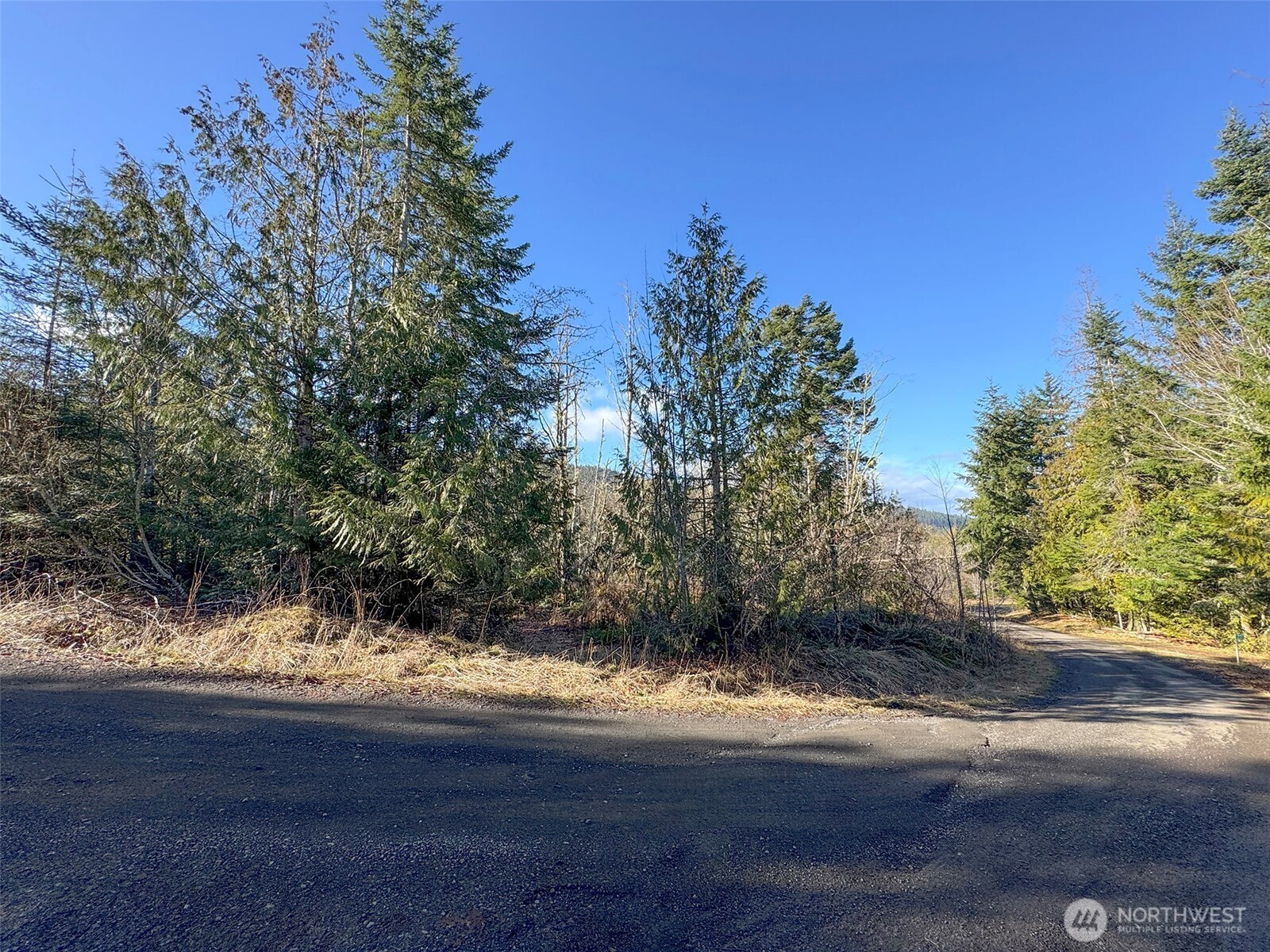 0 E Angeles Ridge Road , Port Angeles, WA 98362