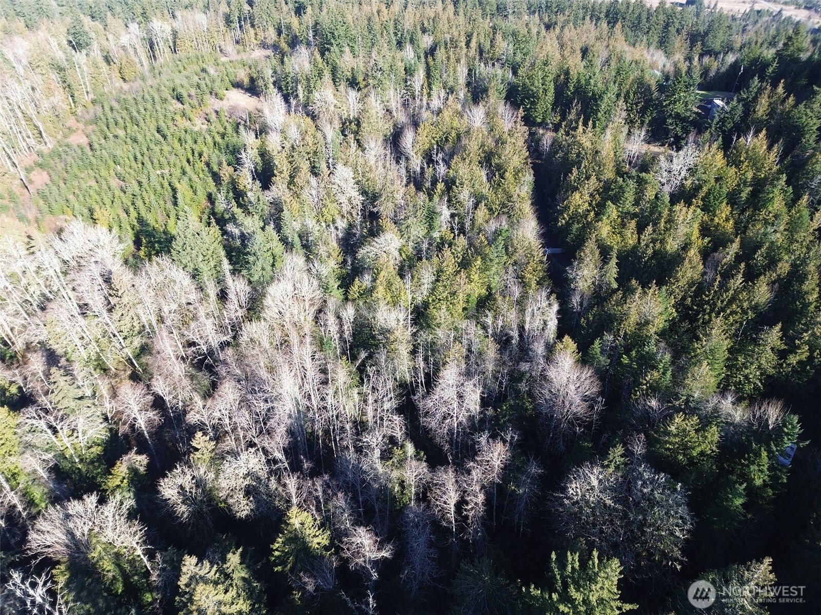 0 E Angeles Ridge Road , Port Angeles, WA 98362