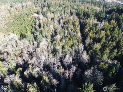 0 E Angeles Ridge Road , Port Angeles, WA 98362 - Photo 25