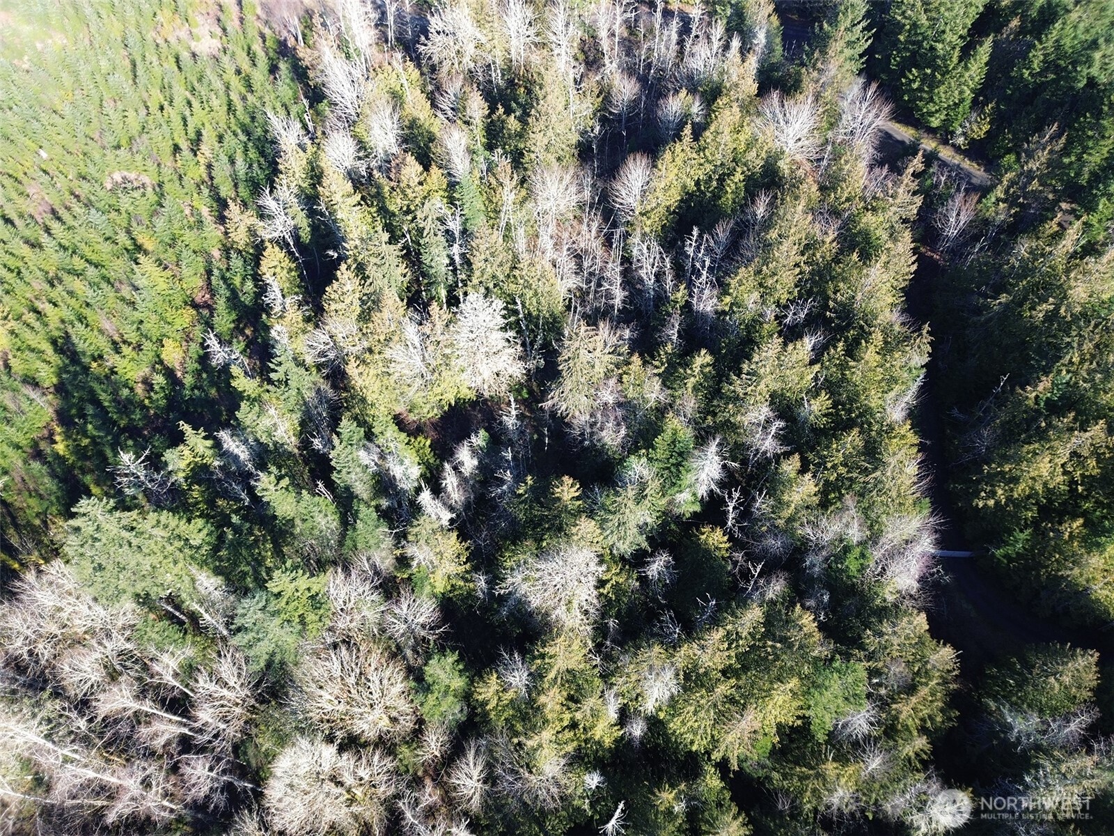 0 E Angeles Ridge Road , Port Angeles, WA 98362