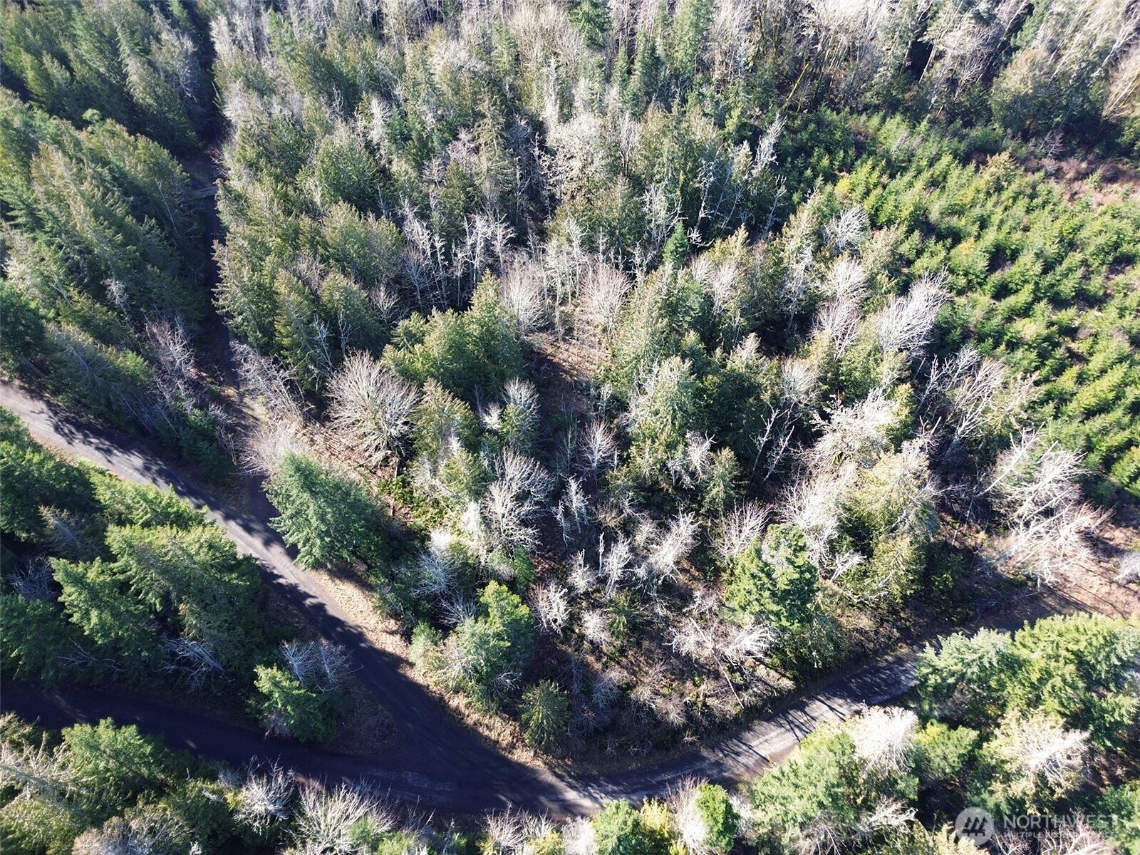 0 E Angeles Ridge Road , Port Angeles, WA 98362