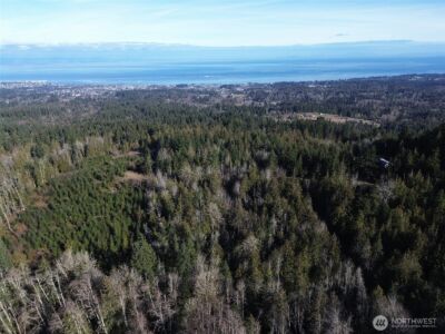 0 E Angeles Ridge Road , Port Angeles, WA 98362 - Photo 4