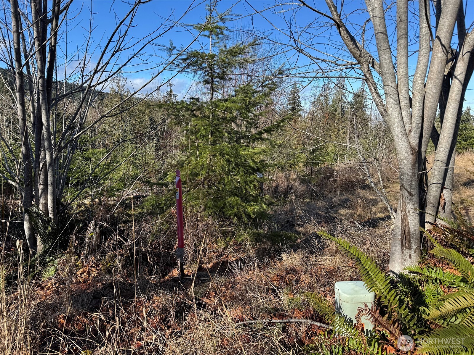 0 E Angeles Ridge Road , Port Angeles, WA 98362