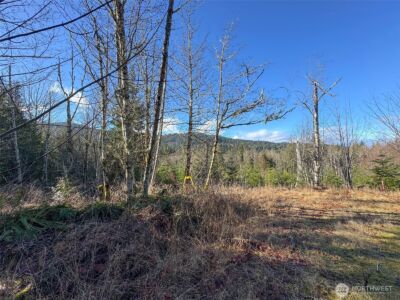0 E Angeles Ridge Road , Port Angeles, WA 98362 - Photo 9