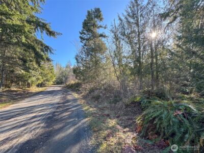 0 E Angeles Ridge Road , Port Angeles, WA 98362 - Photo 10