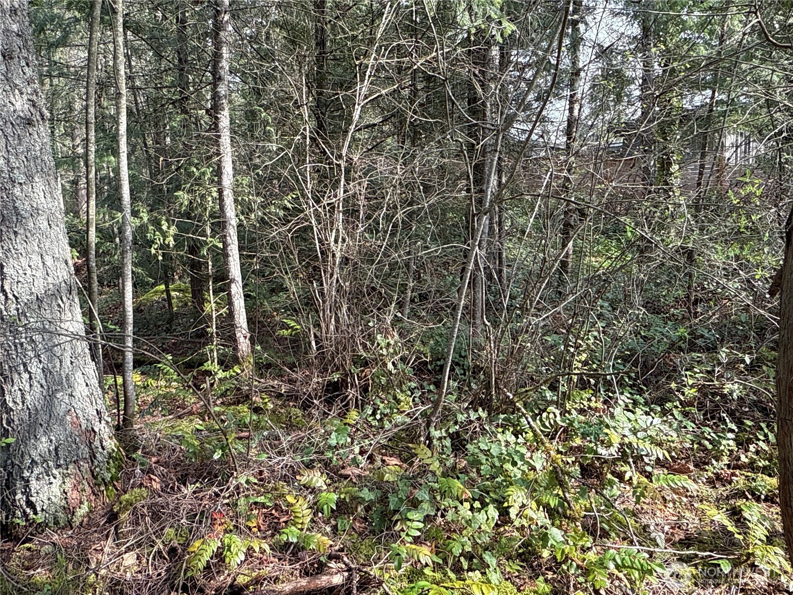 149 XX 175th Avenue SE, Renton, WA 98059