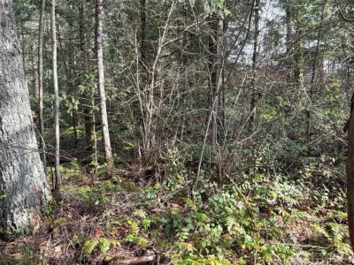 149 XX 175th Avenue SE, Renton, WA 98059 - Photo 11