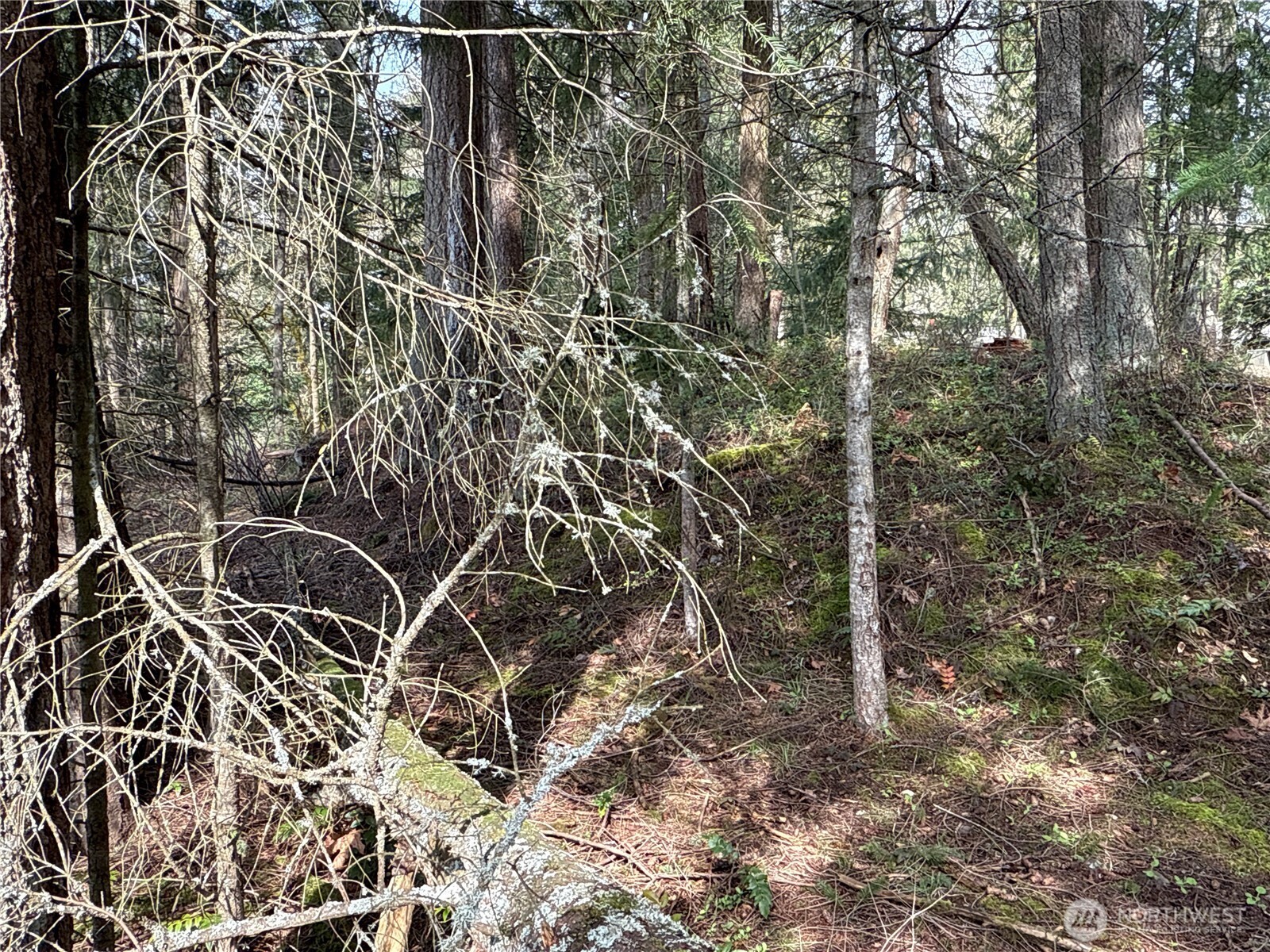 149 XX 175th Avenue SE, Renton, WA 98059