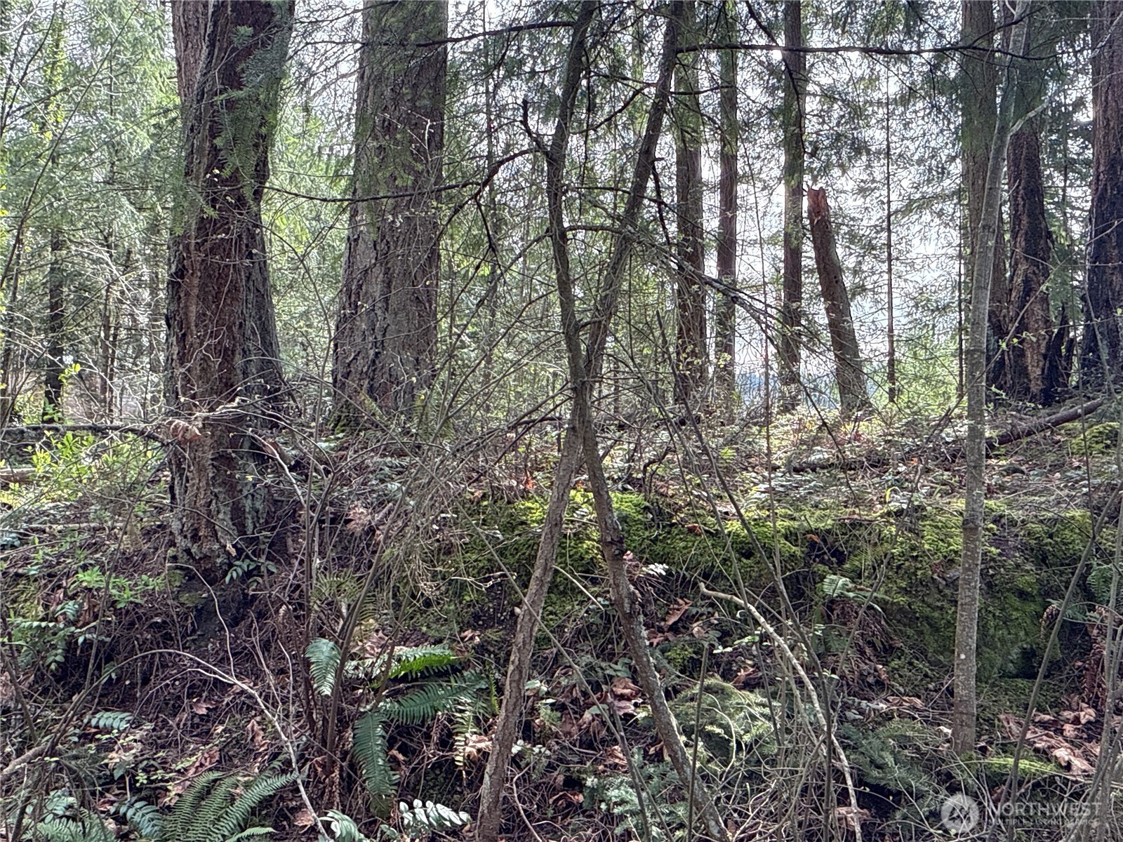 149 XX 175th Avenue SE, Renton, WA 98059