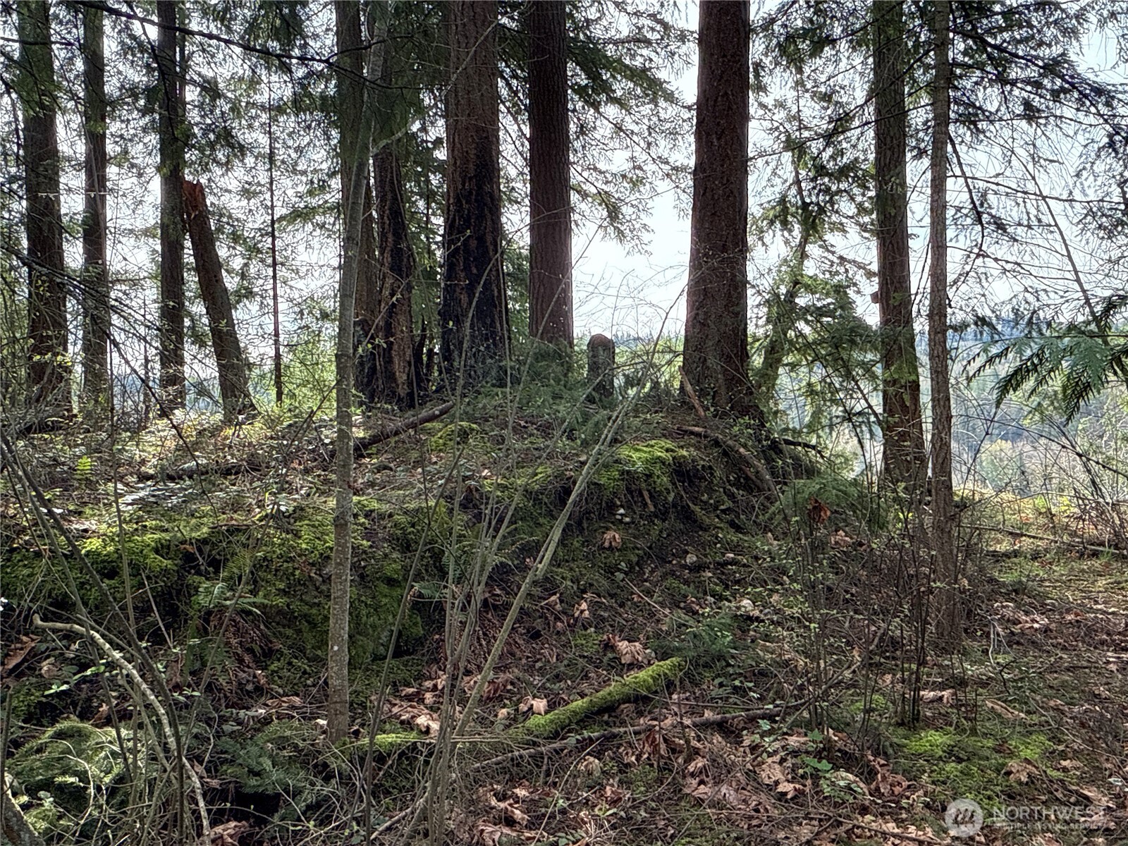 149 XX 175th Avenue SE, Renton, WA 98059