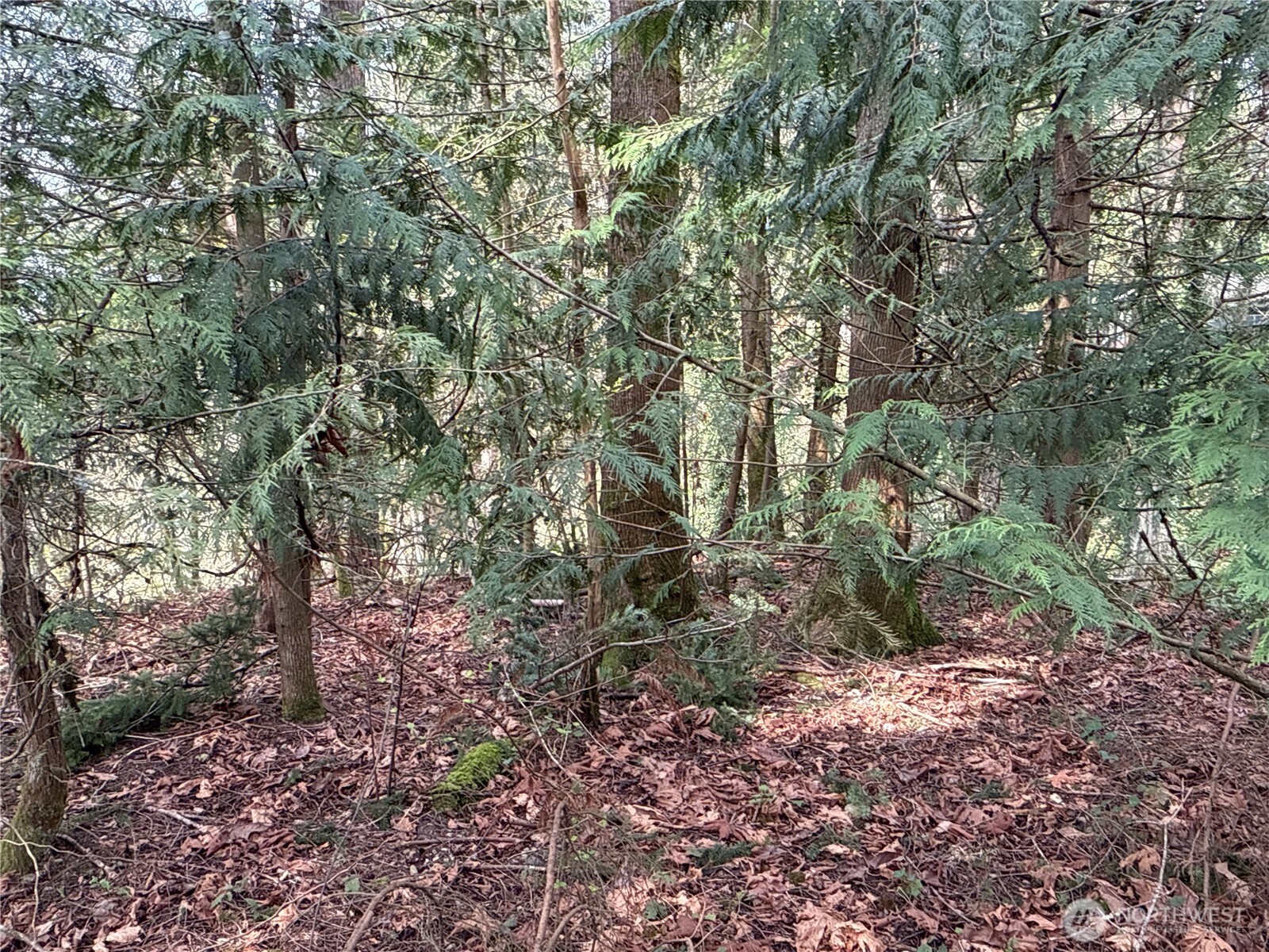 149 XX 175th Avenue SE, Renton, WA 98059