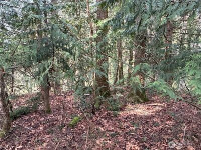 149 XX 175th Avenue SE, Renton, WA 98059 - Photo 16