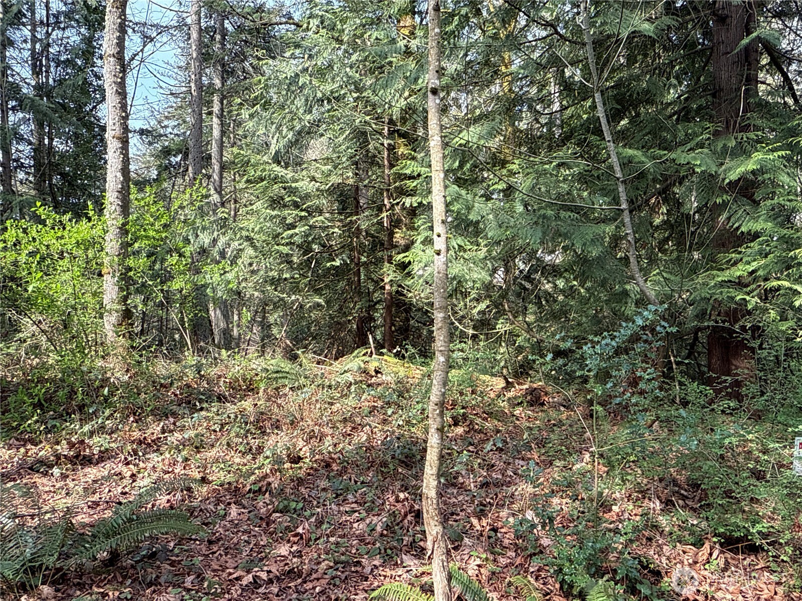 149 XX 175th Avenue SE, Renton, WA 98059