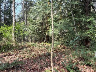149 XX 175th Avenue SE, Renton, WA 98059 - Photo 17