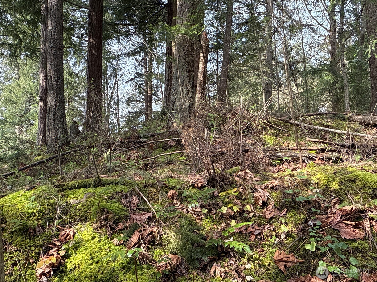 149 XX 175th Avenue SE, Renton, WA 98059