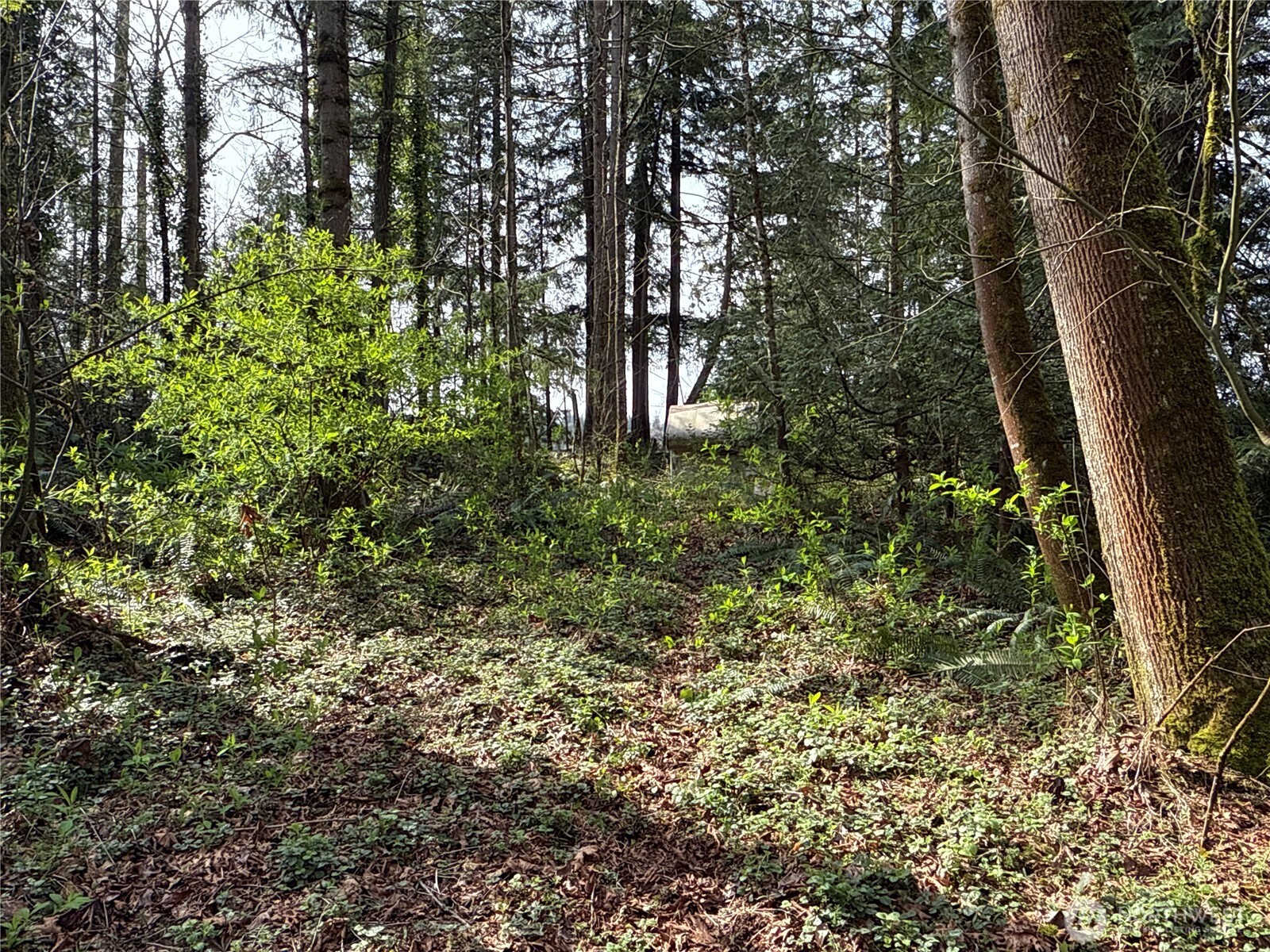 149 XX 175th Avenue SE, Renton, WA 98059