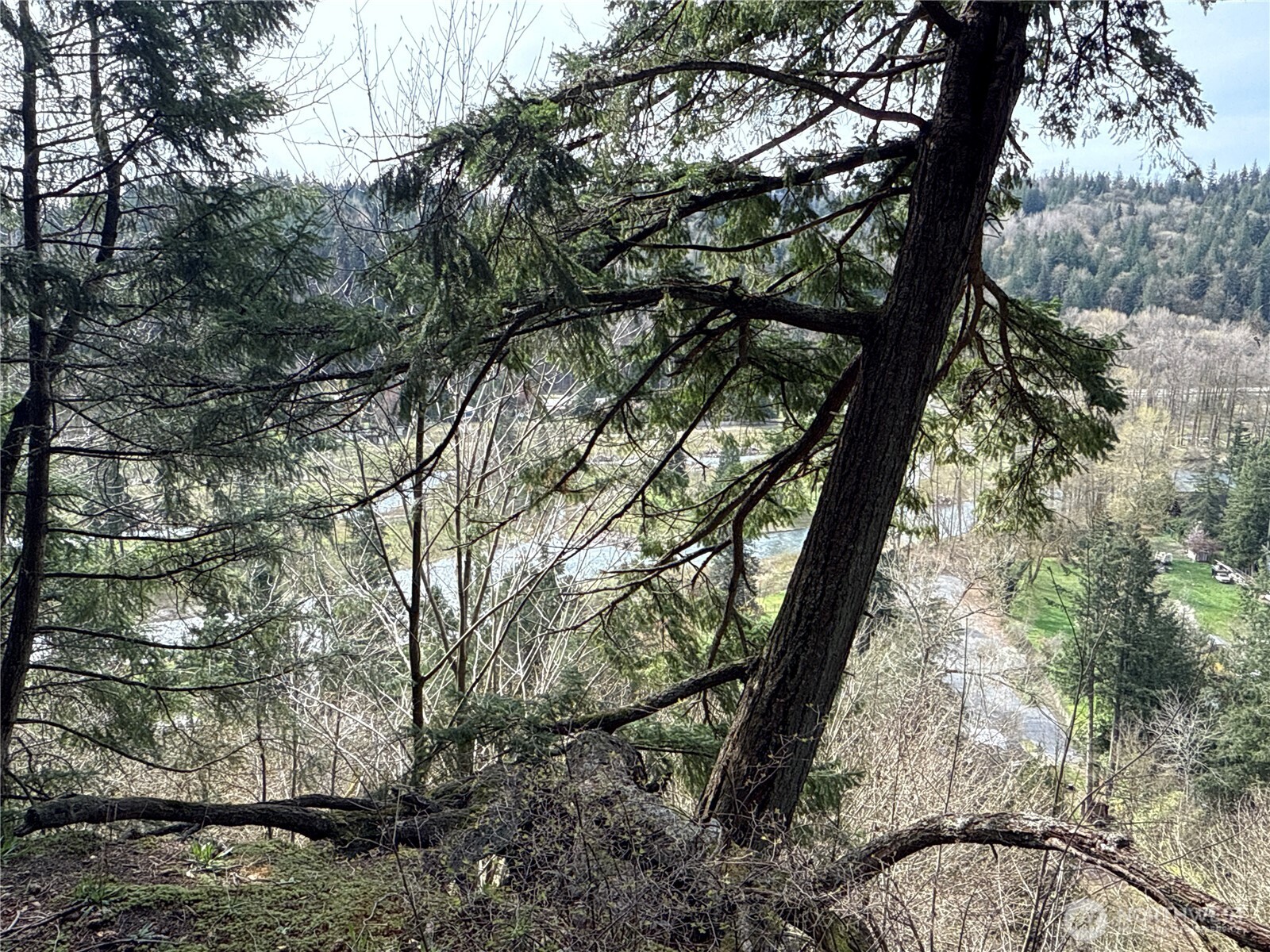 149 XX 175th Avenue SE, Renton, WA 98059