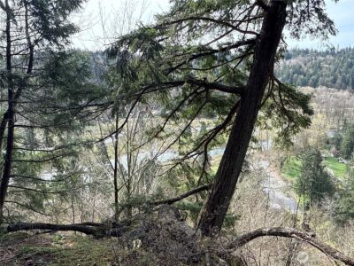 149 XX 175th Avenue SE, Renton, WA 98059 - Photo 3