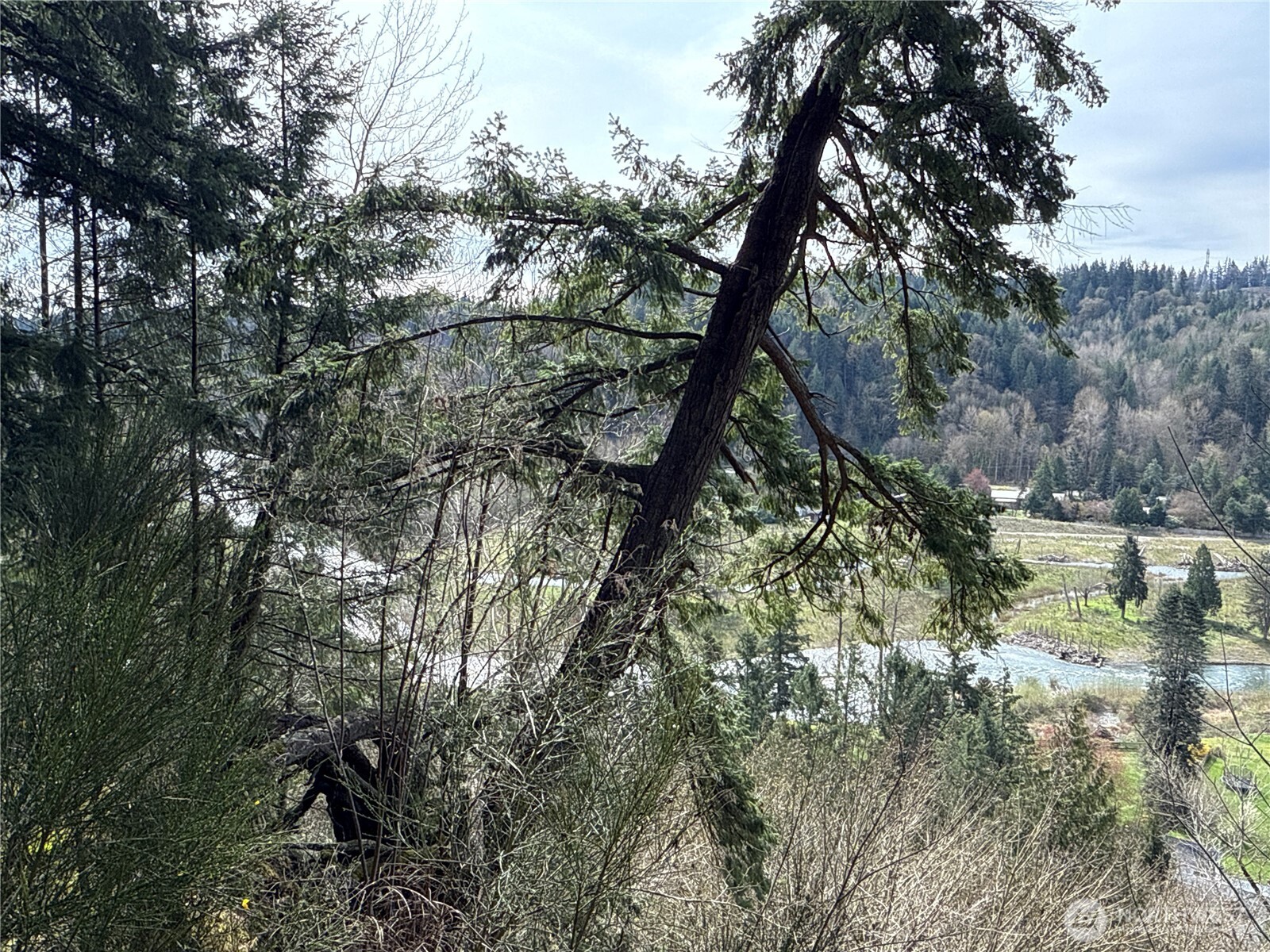 149 XX 175th Avenue SE, Renton, WA 98059