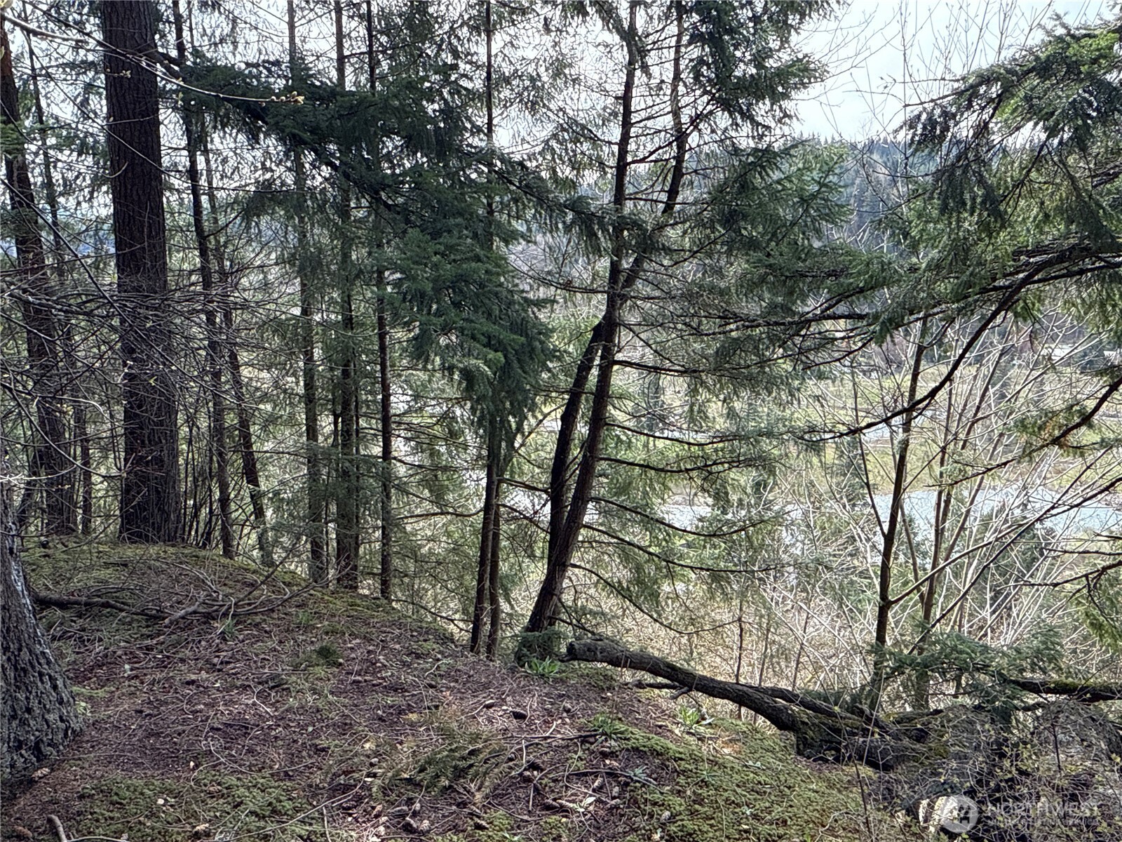 149 XX 175th Avenue SE, Renton, WA 98059