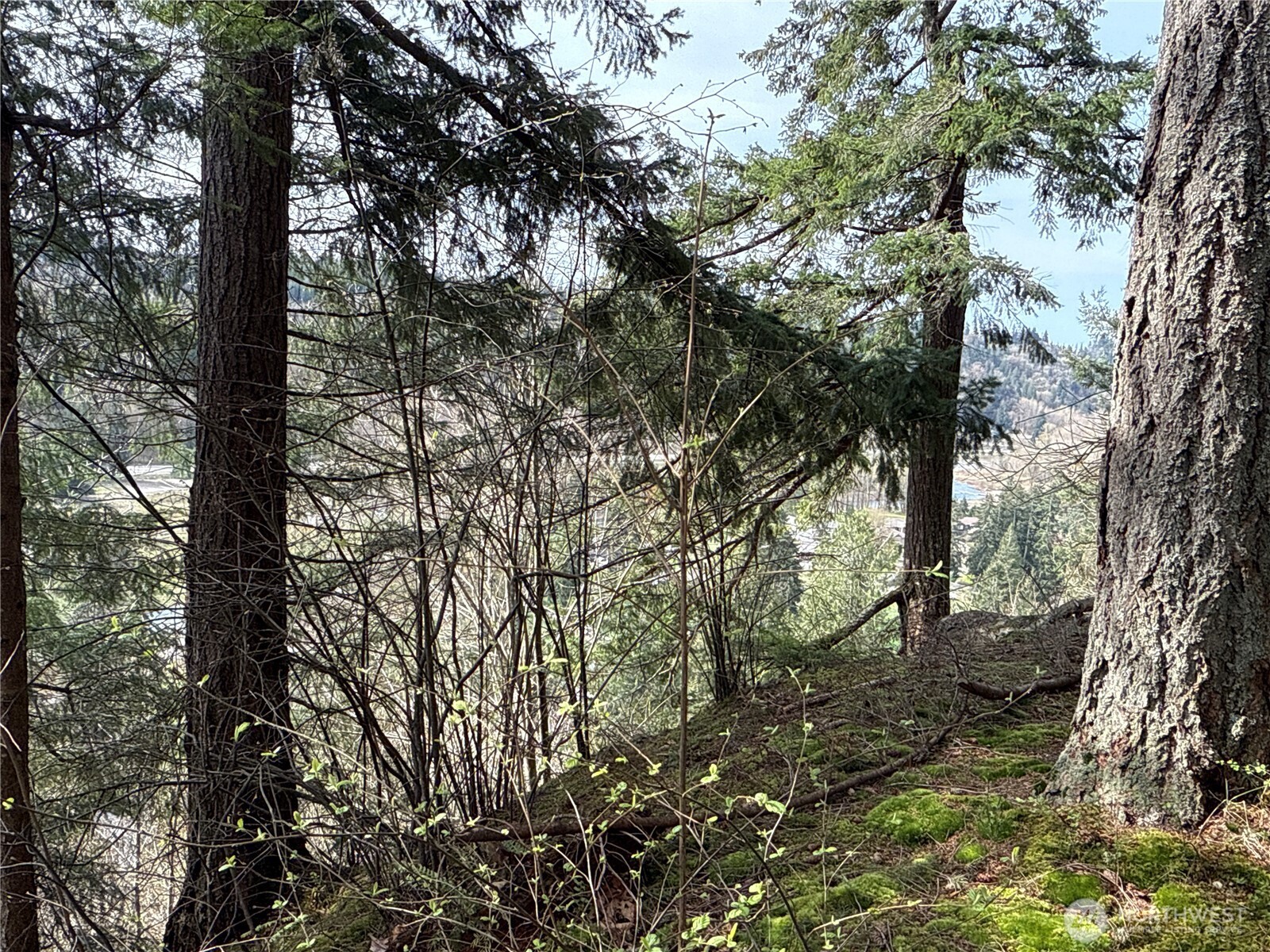 149 XX 175th Avenue SE, Renton, WA 98059