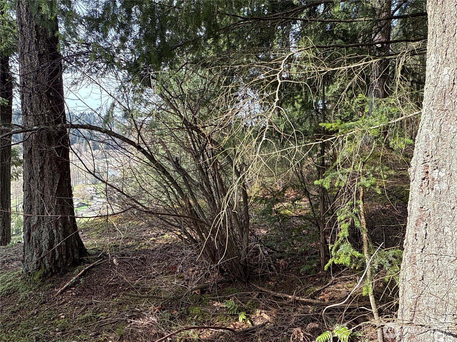 149 XX 175th Avenue SE, Renton, WA 98059