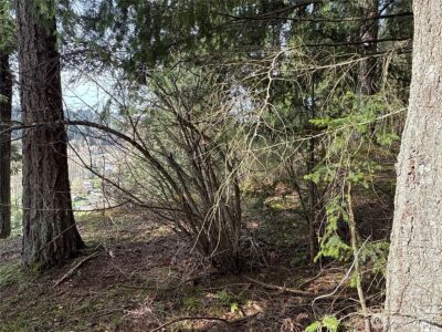 149 XX 175th Avenue SE, Renton, WA 98059 - Photo 7