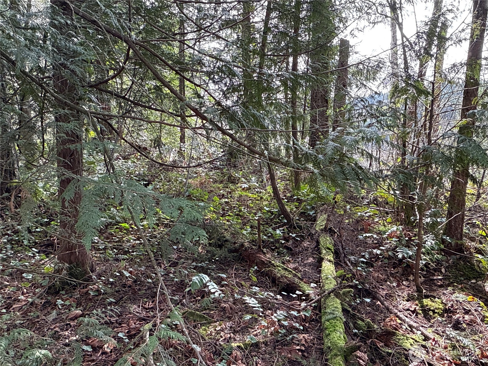 149 XX 175th Avenue SE, Renton, WA 98059