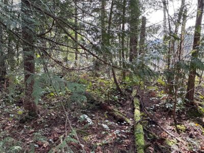 149 XX 175th Avenue SE, Renton, WA 98059 - Photo 8