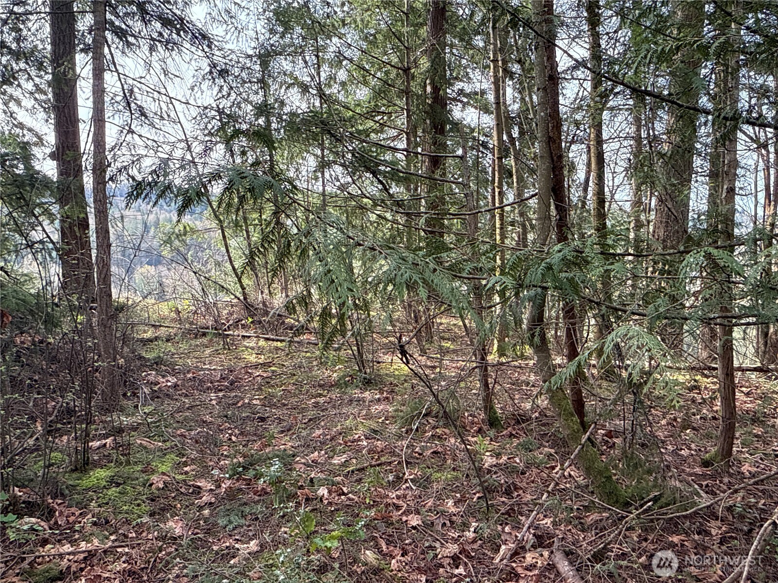 149 XX 175th Avenue SE, Renton, WA 98059