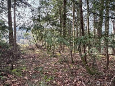 149 XX 175th Avenue SE, Renton, WA 98059 - Photo 9