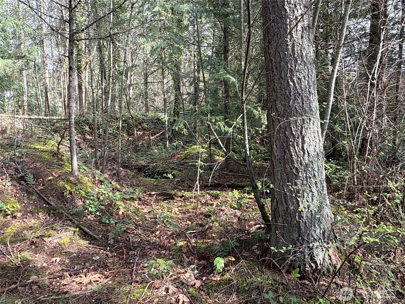 149 XX 175th Avenue SE, Renton, WA 98059