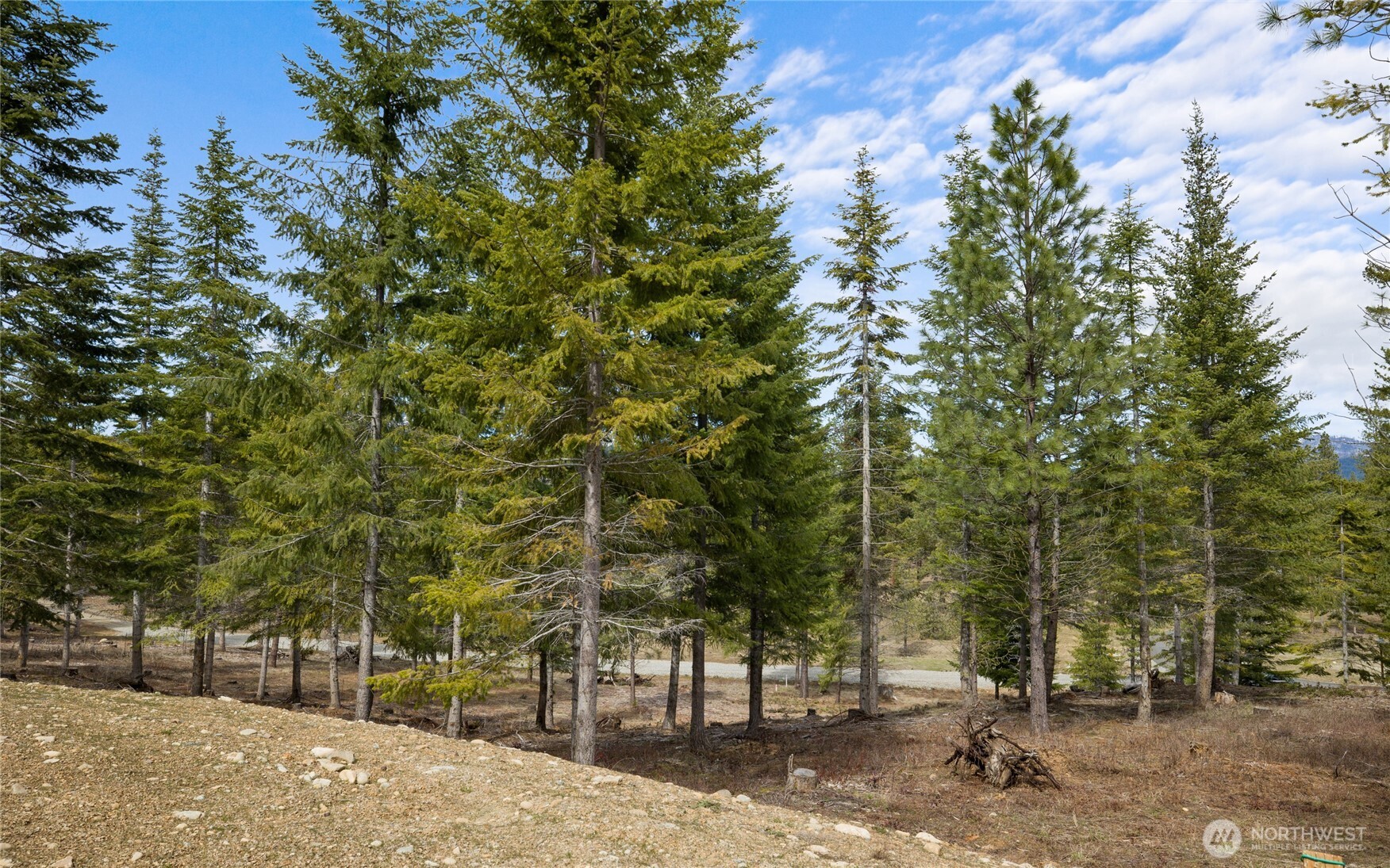 63 Liberty Bell Lane , Cle Elum, WA 98922