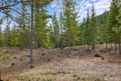 63 Liberty Bell Lane , Cle Elum, WA 98922 - Photo 3