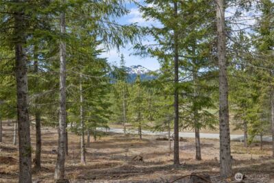 63 Liberty Bell Lane , Cle Elum, WA 98922 - Photo 4