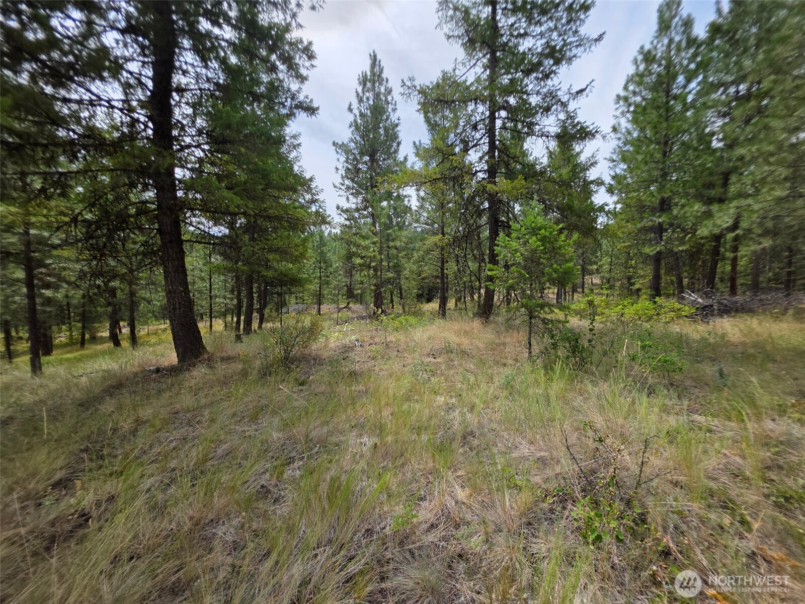 25 Outback Road , Oroville, WA 98844