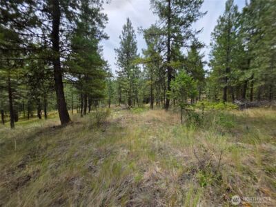 25 Outback Road , Oroville, WA 98844 - Photo 11