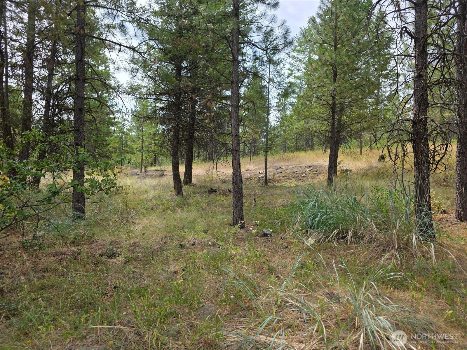 25 Outback Road , Oroville, WA 98844