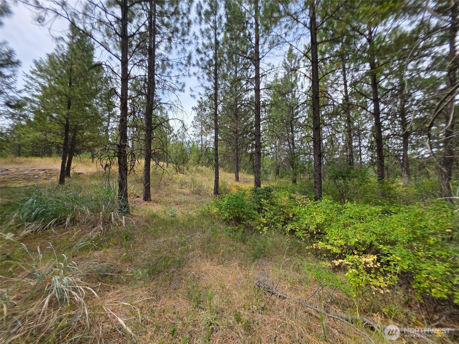 25 Outback Road , Oroville, WA 98844