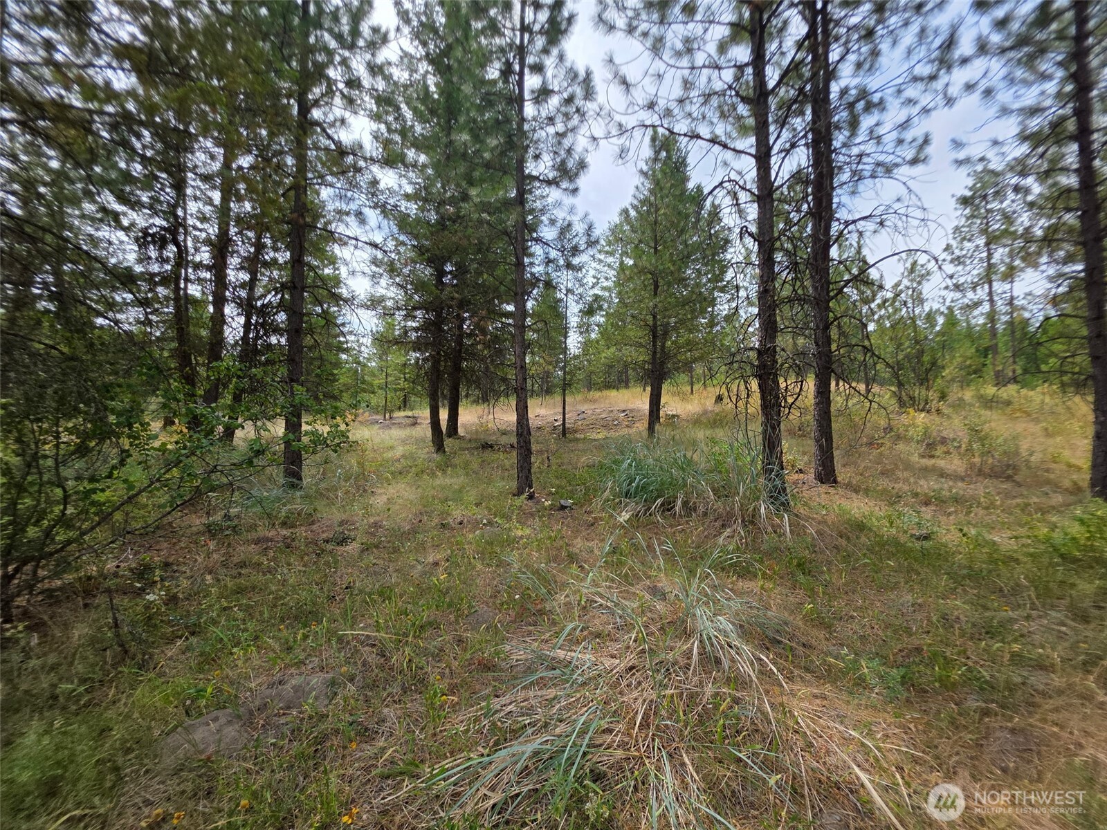 25 Outback Road , Oroville, WA 98844