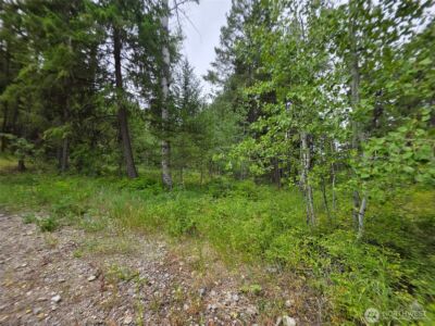 25 Outback Road , Oroville, WA 98844 - Photo 16