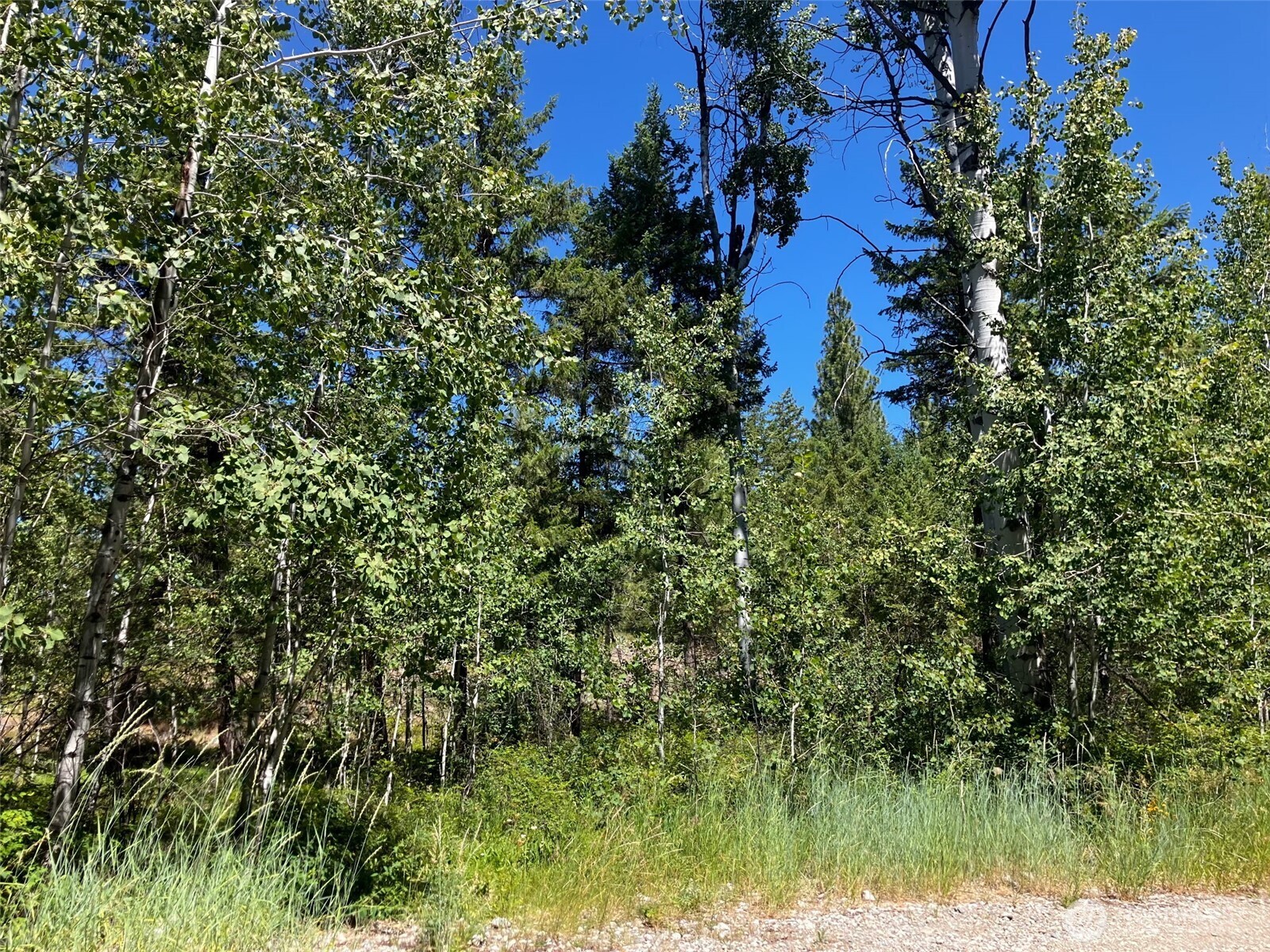 25 Outback Road , Oroville, WA 98844