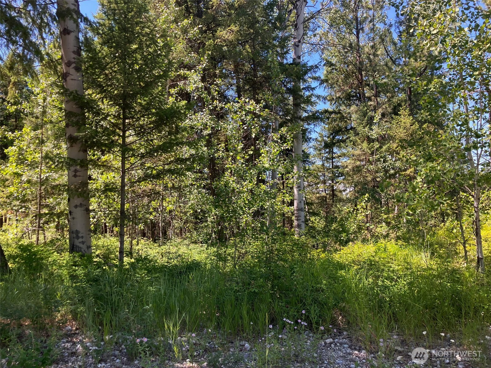 25 Outback Road , Oroville, WA 98844