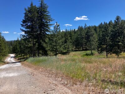 25 Outback Road , Oroville, WA 98844 - Photo 2